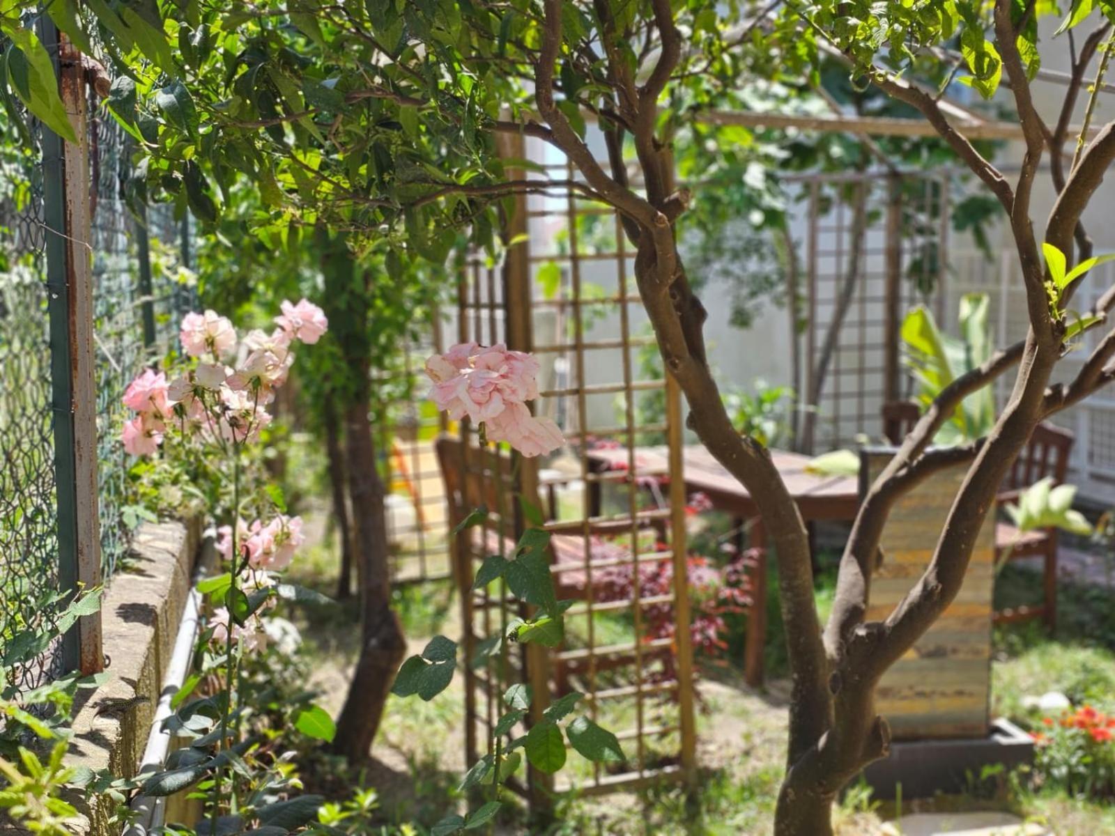 Prestige Casa Vacanze 카탄차로 외부 사진